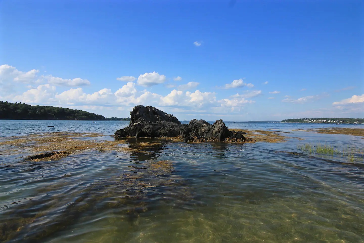 Evergreen Point waters with rocky outcrops and summer clouds